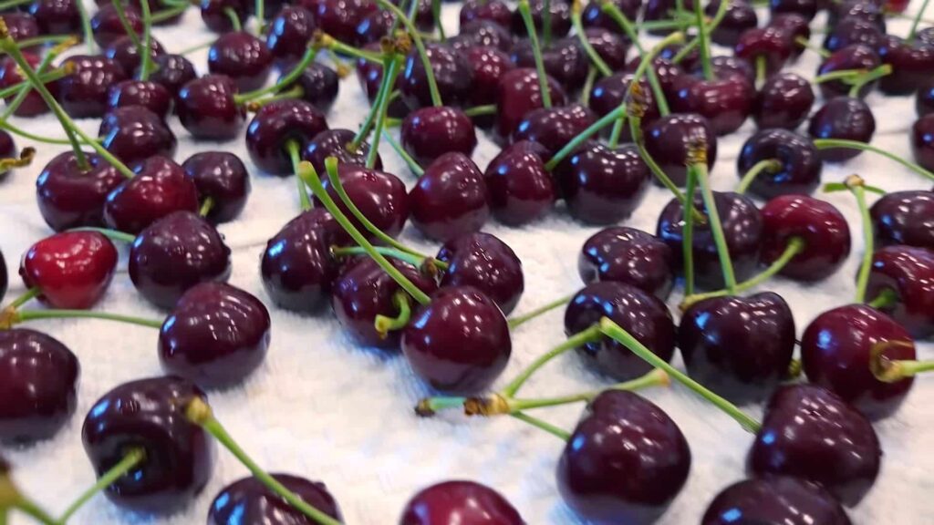 Просушивание черешни