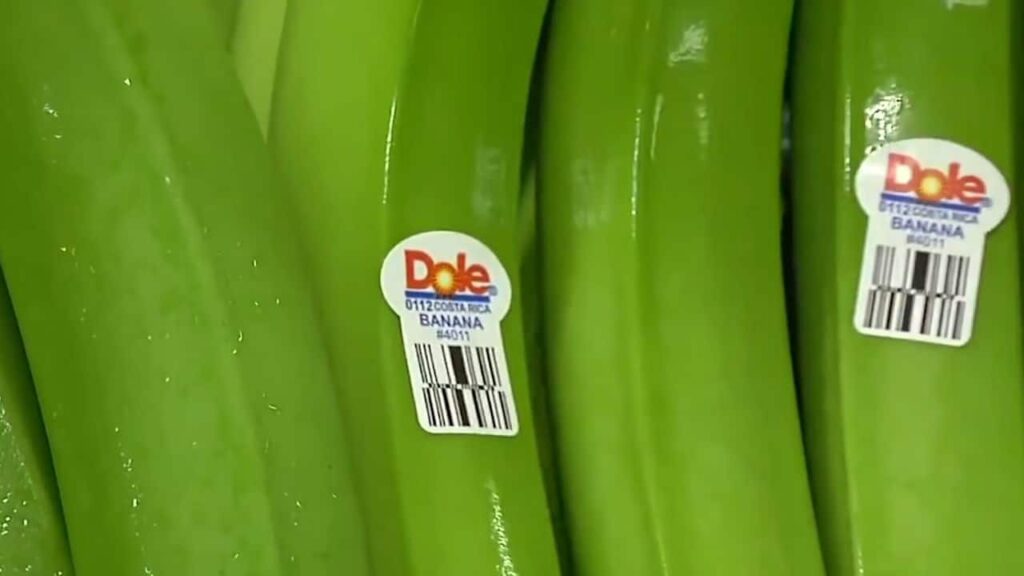 Зеленые бананы