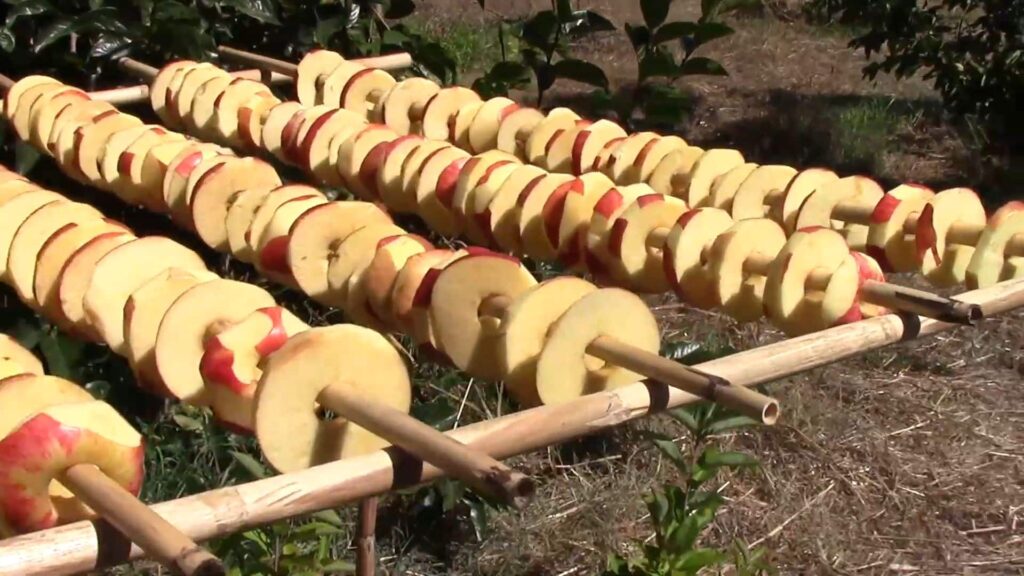 Яблочная сушка