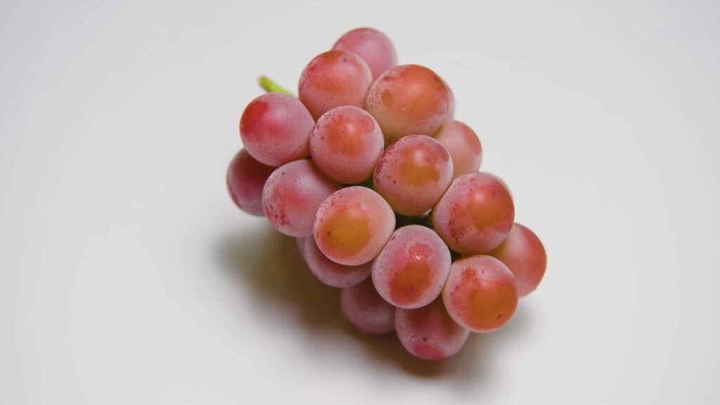 Виноградная гроздь в воске