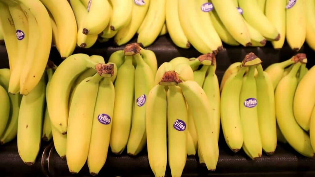 Самый дорогой банан в мире. К чему снятся бананы женщине. Кот банан. Пупарий на банане.