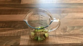 Bezalkogol_nyj-mohito-Shag-1