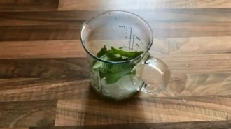 Bezalkogol_nyj-mohito-Shag-2