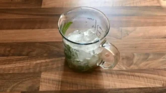 Bezalkogol_nyj-mohito-Shag-3