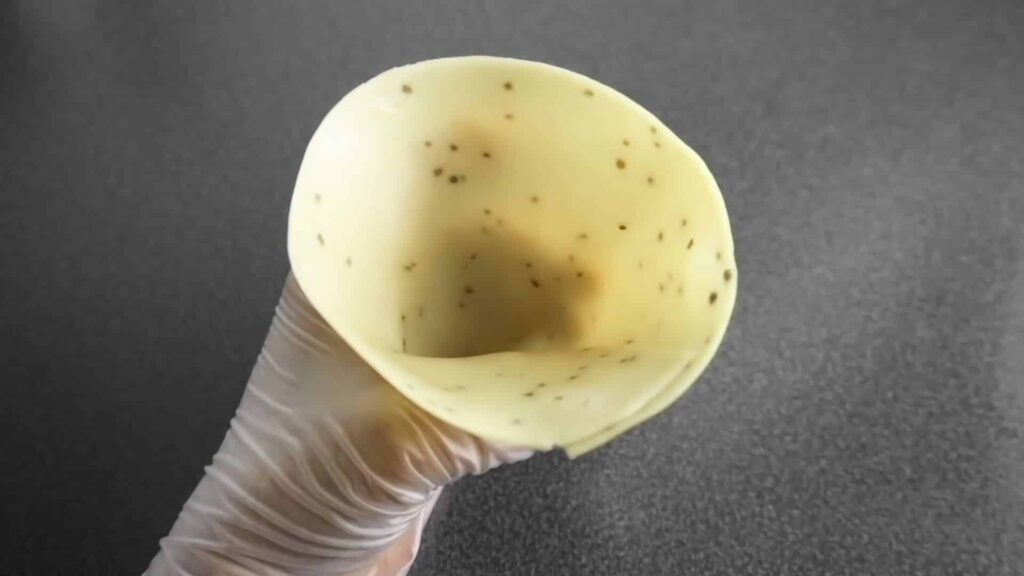 Жареная самса с фаршем — recipe steps, step 9