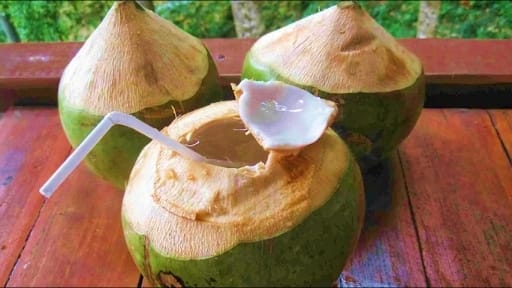 Питний кокос