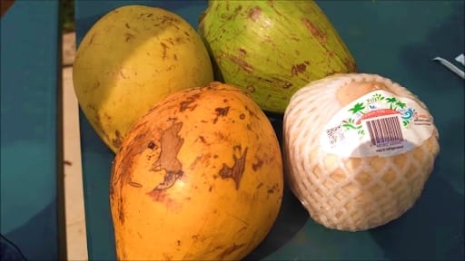 Кокоси різної стиглості